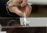 انتخابات بازرسی جامعه معلولین ایران